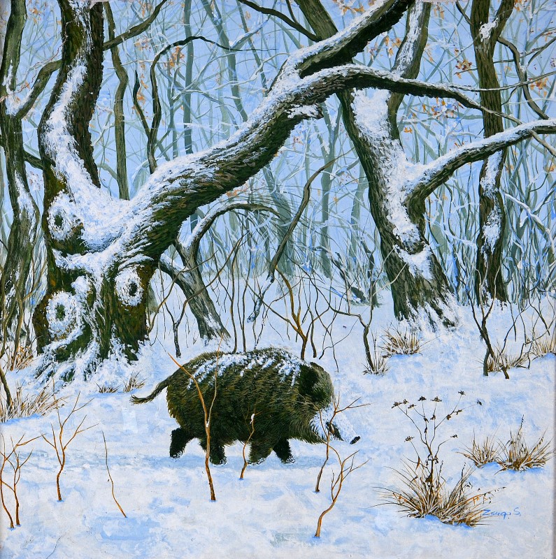 Zsuga Sándor - Vaddisznó