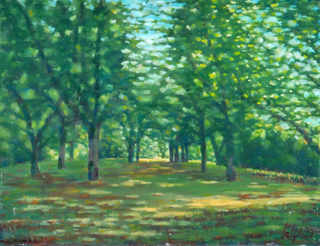 Pelyhe Tamás - Zöld erdő
