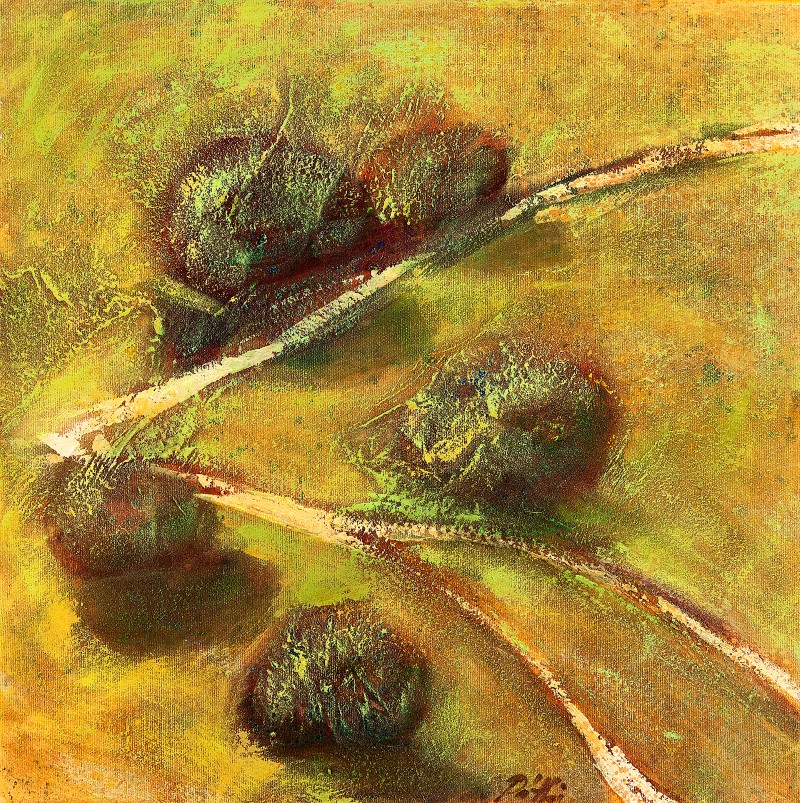 Páthi Diána - Az én utam