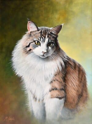 Vándorfény Kortárs Galéria - Norvég erdei macska