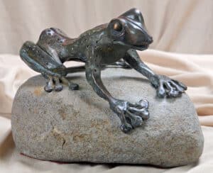 Tóth Kristóf - Béka a kövön