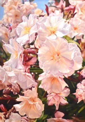 Cene gál István - Leander az Adrián