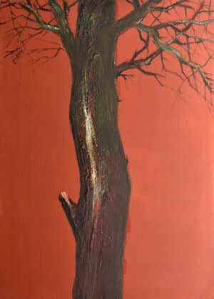 Vándorfény Kortárs Galéria - Csáky Lajos