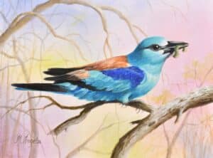 Micsik Angéla - Szalakóta