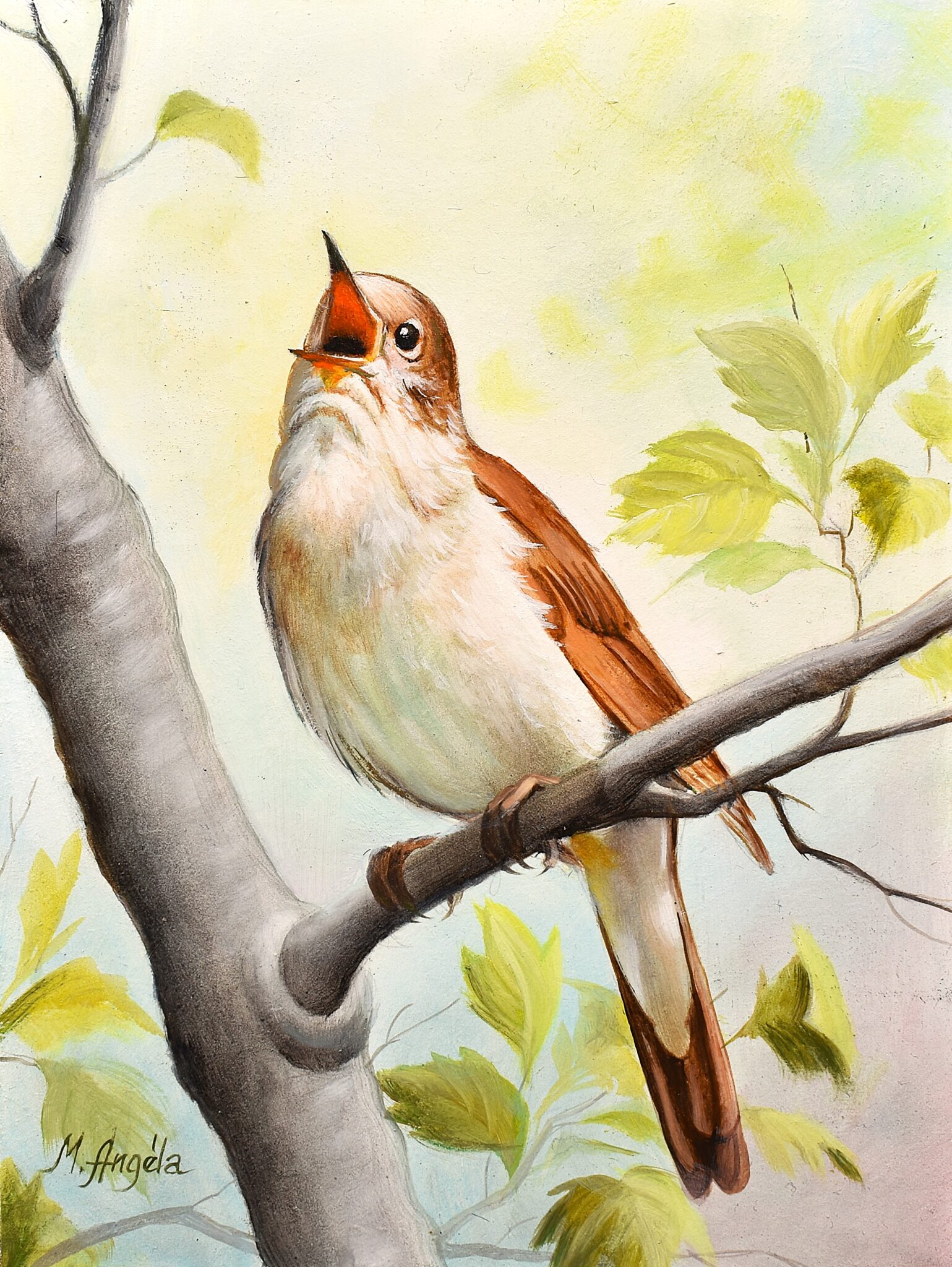 Micsik Angéla - Vándorfény Kortárs Galéria