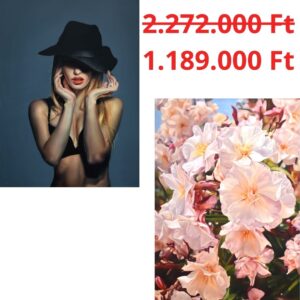 Vándorfény Webshop